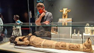 The New Home of Egypts Mummies Egyptian Civilization Museum