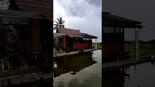 Saung Suluh  Nikmatnya makan Nasi Timbel sambil menikmati pemandangan hutan #dinjajanin