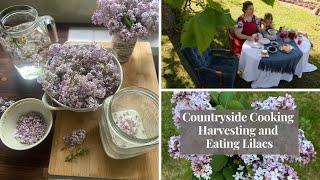 Countryside Cooking  Harvesting Lilacs