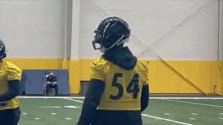 First Look at New Steelers ILB Tae Crowder at Practice  SN