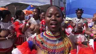 Umkhosi WoMhlanga 070919 Reed Dance.