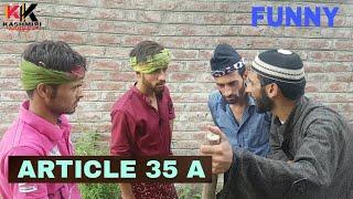 ARTICLE 35 A - Kashmiri Kalkharabs