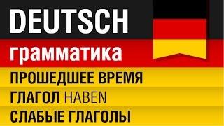 Прошедшее время. Слабые глаголы. Глагол haben. Немецкий Урок 731. Елена Шипилова.