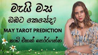 මැයි මස ඔබට MAY PICK A CARD TAROT READING