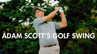 Adam Scotts Golf Swing Secrets