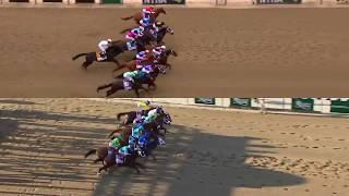 Justify and American Pharoah Belmont Stakes wins