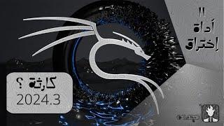 تحديث إصدار Kali Linux 2024.3 مع 11 أداة اختراق جديدة