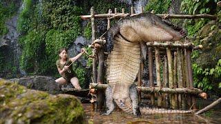 Skills making traps to catch crocodiles survival alone