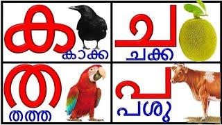 Learn Malayalam Consonantsവ്യഞ്ജനം vyañjanamMalayalam Alphabet Malayalam Aksharamalaക ഖ ഗ ഘ ങ