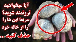 آیا میخواهید ثروتمند شوید؟ سریعا این ها را از خانه خود حذف کنید...