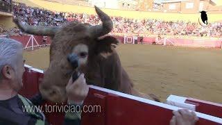 Canta jota al toro de Ustarroz y le remata en la valla - Lodosa 16 septiembre