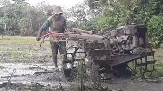 Bajak Besi Penggati Kerbau Membajak Sawah