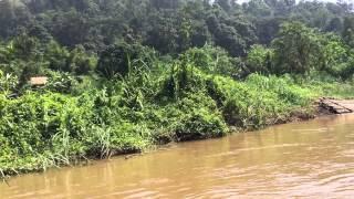 Río en balsa de caña de bambú 2 tailandia