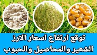 اسعار الارز الشعير اليومتوقع اسعار الارز والمحاصيل  والحبوب