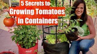 5 Secrets to Grow LOTS of Tomatoes in Containers  Container Garden Series #1