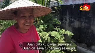 TANAM SAYUR TEPI PARIT  SOFIA SARAWAK