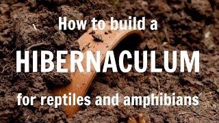 How to build a hibernaculum for reptiles and amphibians