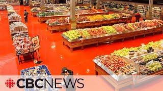 Loblaws Sobeys owners under investigation by Competition Bureau
