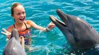 We Play with Dolphins on a Tropical Island Kids Fun TV