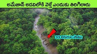 amazon rainforest animals  mystery amazon rainforest secrets  facts in telugu  interesting facts