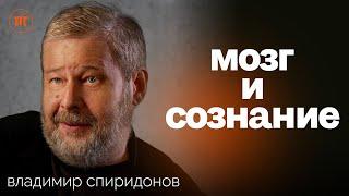 Каждому третьему нужен психолог. Владимир Спиридонов о связи генетики нервной системы и науке