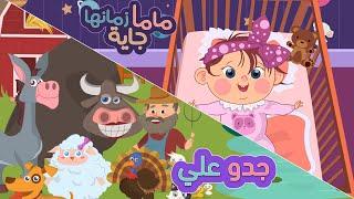 جدو علي + ماما زمنها جاية  كتاكيت بيبي