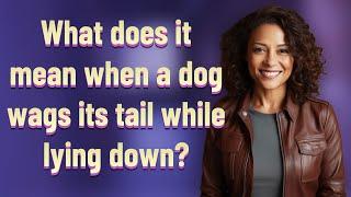 What does it mean when a dog wags its tail while lying down?