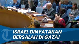 Dibuat Bungkam PBB Nyatakan Israel Bersalah atas Penyiksaan dan Pembantaian di Gaza