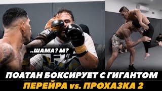 Алекс Перейра спаррингует с ГИГАНТОМ  Перейра - Прохазка 2  Перейра - Туйваса  FightSpaceMMA