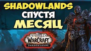 SHADOWLANDS СПУСТЯ МЕСЯЦ. СТОИТ ЛИ ПОКУПАТЬ?