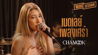 Chamook  เมดเลย์เพลงเศร้าและเพราะที่สุด cover by ชามุก สุชานันท์ Wake Session