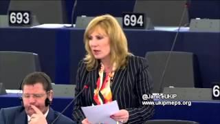 EUs porous borders face effects of Western destabilisation of Libya - Janice Atkinson MEP