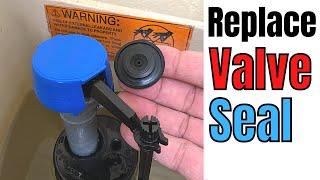 Fix it Yourself  Replace the Fluidmaster 400 Valve Seal for Beginners  Basic Life Skills