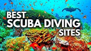 10 BEST Scuba Diving CARIBBEAN Destinations 2023  Traveling Guide