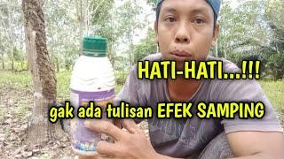 penting tapi berdampak buruk.. obat perangsang getah karet