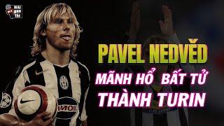 PAVEL NEDVED MÃNH HỔ BẤT TỬ CỦA THÀNH TURIN