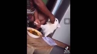 Woman seen feeding her dog with Amala and ewedu   Click the subscribe button  its free for now.