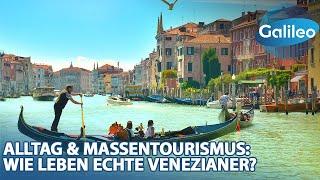 Geheimtipps und das Leben inmitten des Massentourismus Wie leben echte Venezianer?