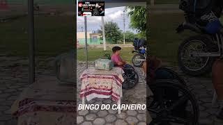 bingo de um Carneiro