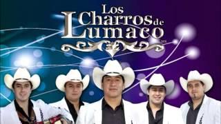 Los Charros de Lumaco - Y me bebí tu recuerdo La Nueva Fiesta de los Charros - 2013