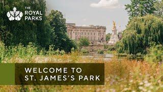 Discover St. Jamess Park one of London’s Royal Parks