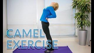 How to do the Camel Pose