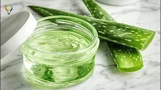 How To Extract Aloe Vera Gel? How To Make Aloe Vera Cream?