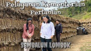 Day 1 bersama kementrian pertanian trans tour lombok.. bimtek bawang putih di sembalun