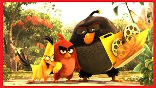 Энгри Бердс в Кино Факты  Angry Birds  2016