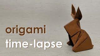 Origami Time-Lapse Rabbit  Bunny David Shall