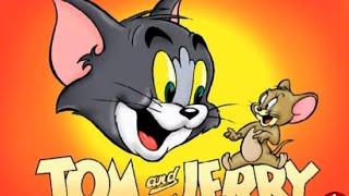 انیمیشن تام و جری  تام  کارتون کودکانه موش و گربه
