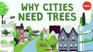 What happens if you cut down all of a citys trees? - Stefan Al