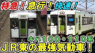 【迷列車で行こう】特急から普通列車まで！JR東日本最強の気動車キハ１１０系の種類と歴史【ゆっくりの鉄道講座第72回】