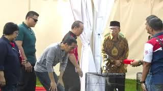 ANTARANEWS - Jokowi hadiri Lomba Burung Berkicau Piala Presiden